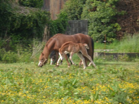 Esteban et sa mère