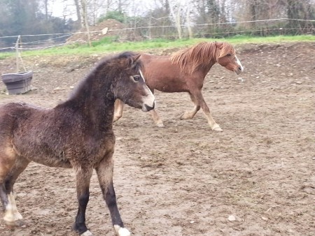 Octavia et Bella